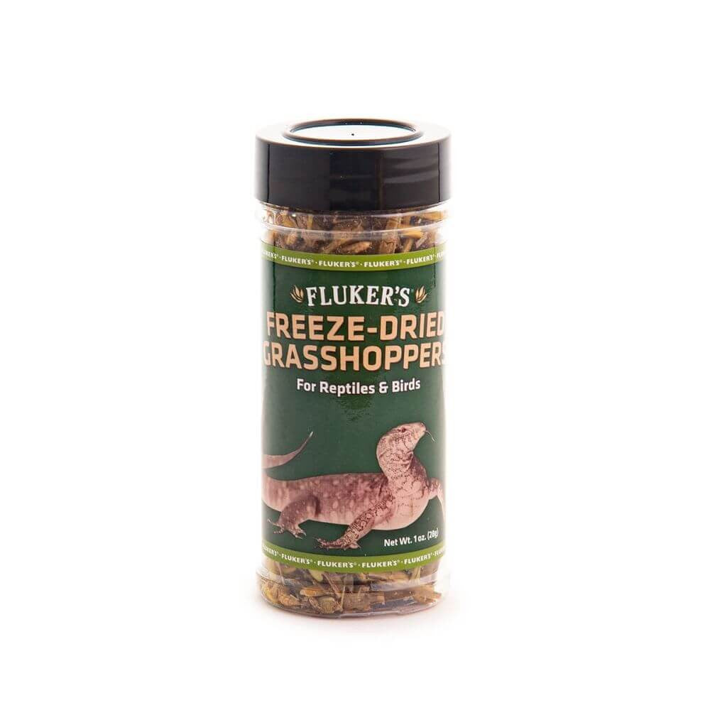 Freeze Dried Grasshopper | Reptile Feeder Food