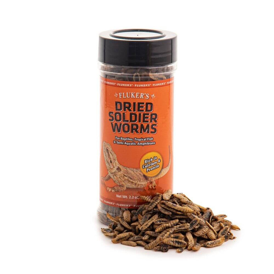 Dried Soldier Worms | Calcium-Rich Reptile Feeder
