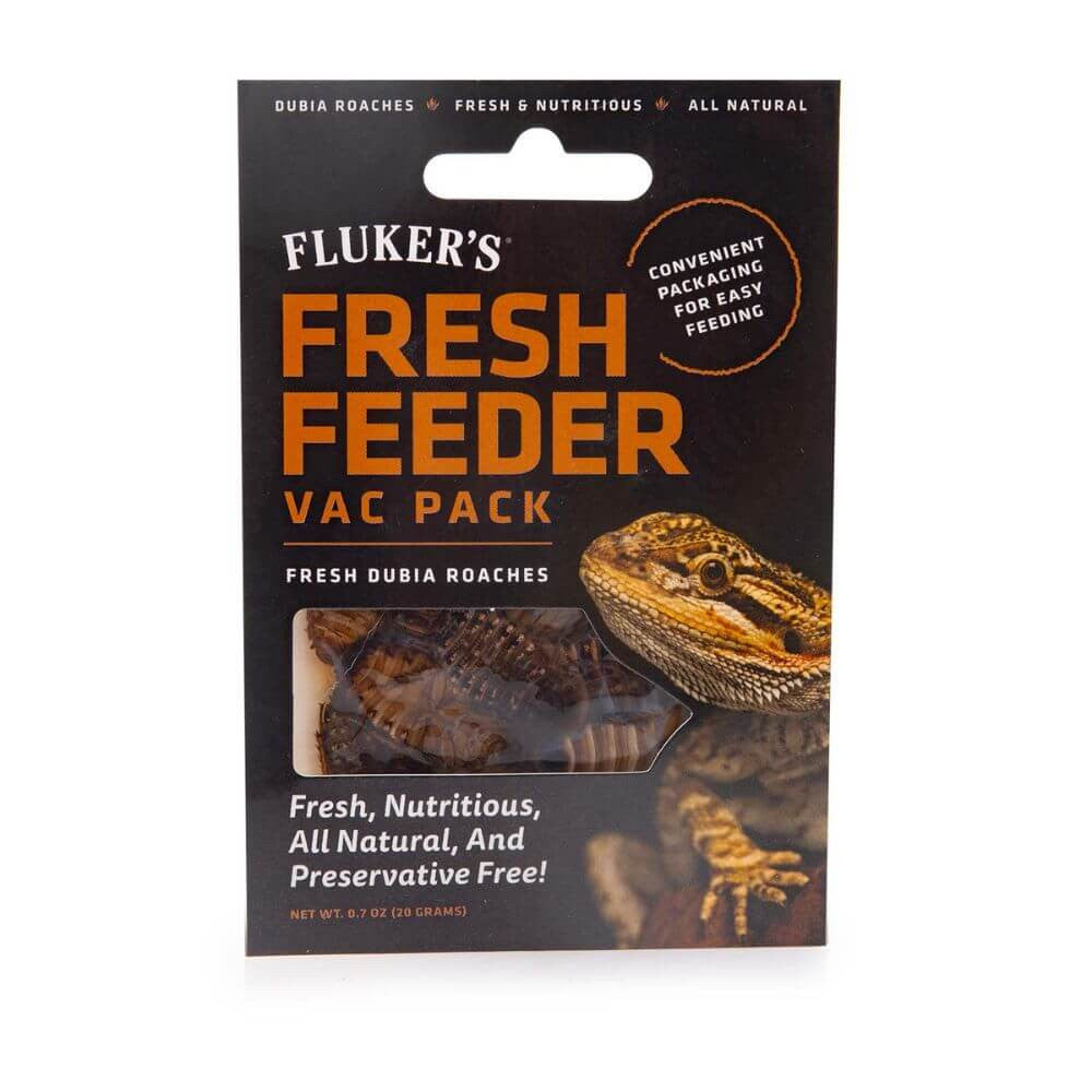 Fresh Feeder Vac Pack Dubia Roach | Reptile Feed