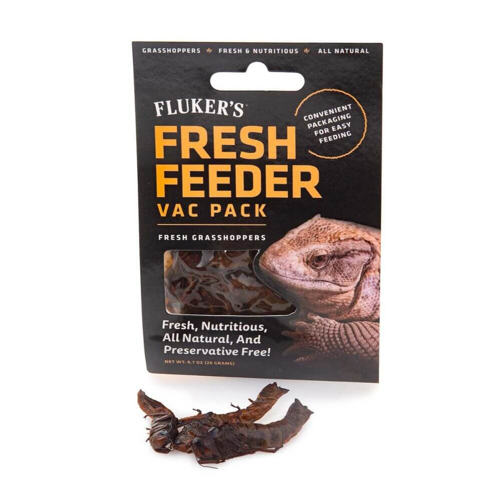 Fresh Feeder Vac Pack Grasshopper | Reptile Feed