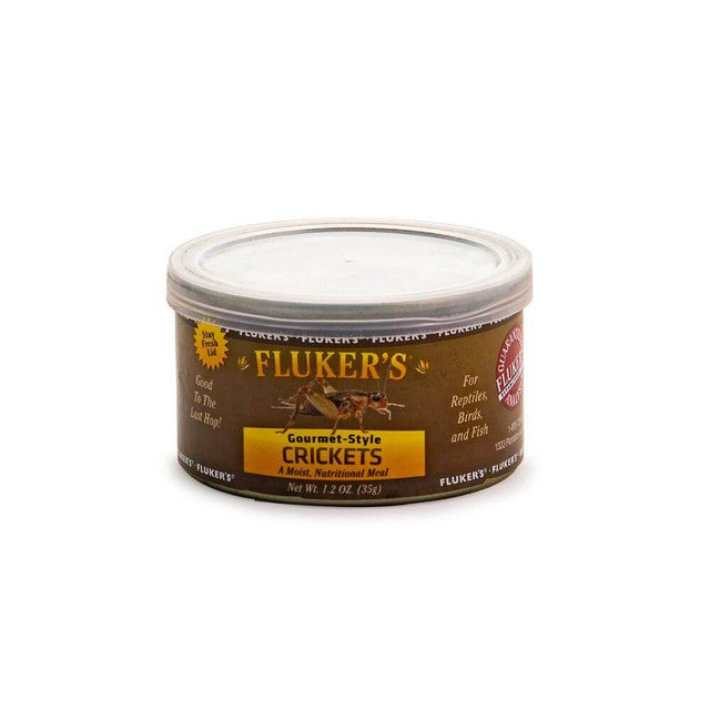 Gourmet Grasshopper | Premium Reptile Feeder