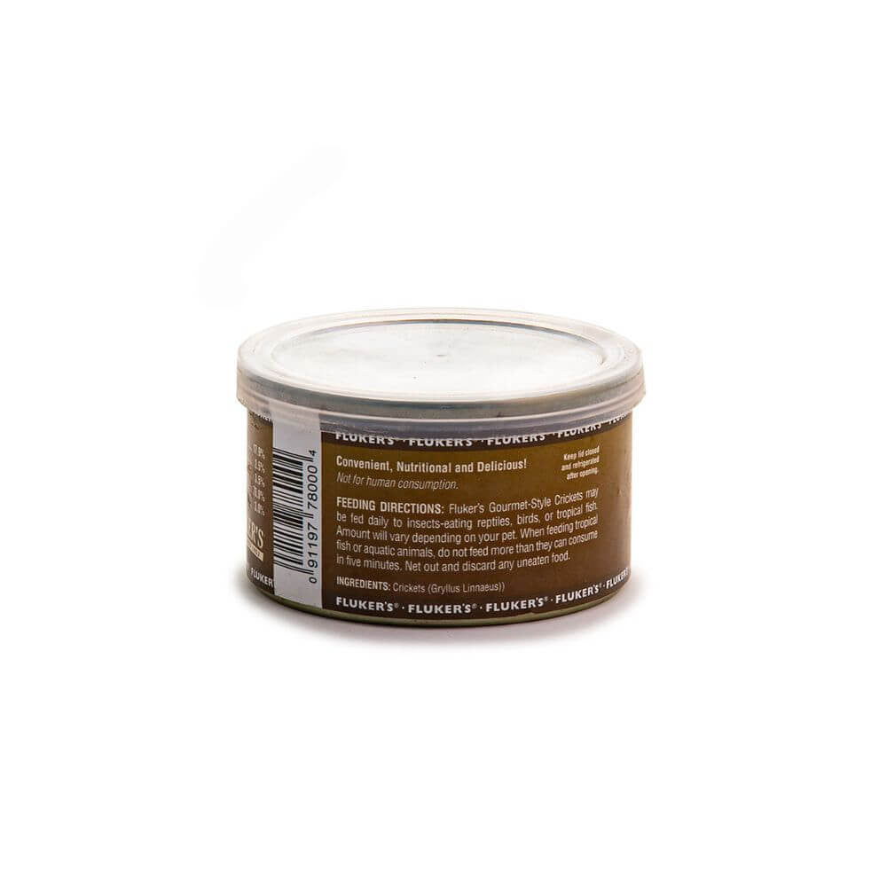 Gourmet Grasshopper | Premium Reptile Feeder