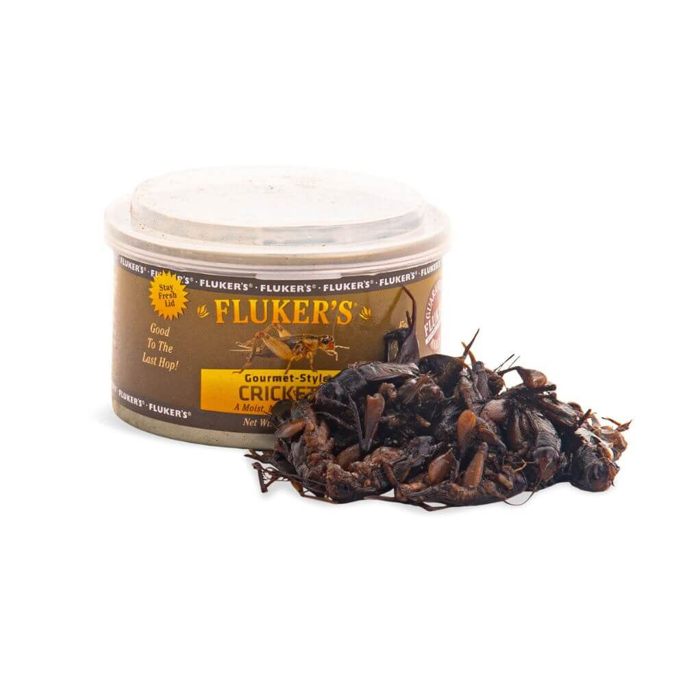 Gourmet Grasshopper | Premium Reptile Feeder