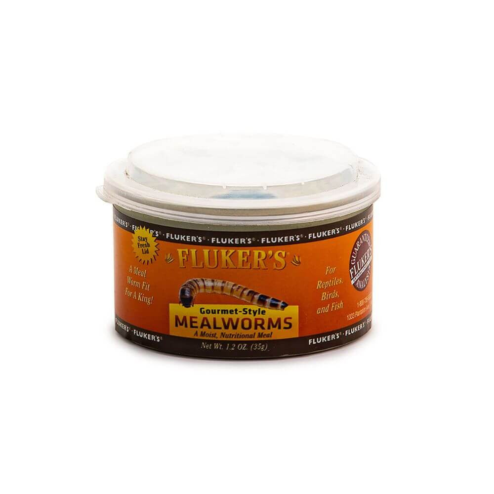 Gourmet Mealworms | Premium Reptile Feeder