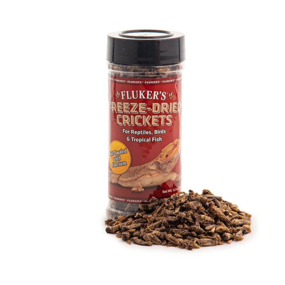 Freeze Dried Crickets | Reptile & Bird Feeder Food