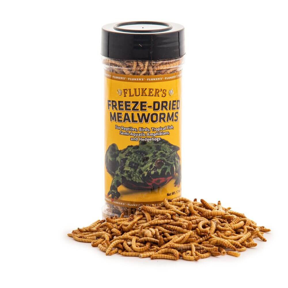 Freeze Dried Mealworms | Reptile & Bird Feeder Food