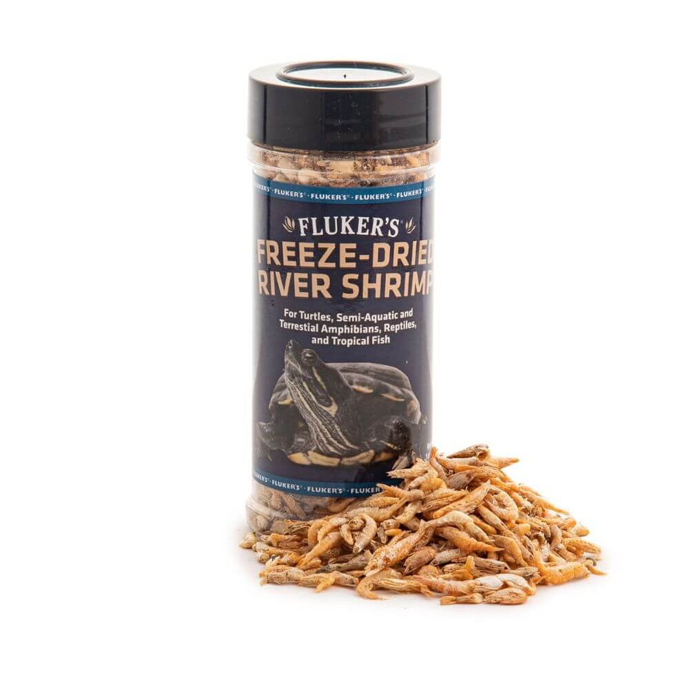 Freeze Dried Shrimp | Reptile Feeder Food