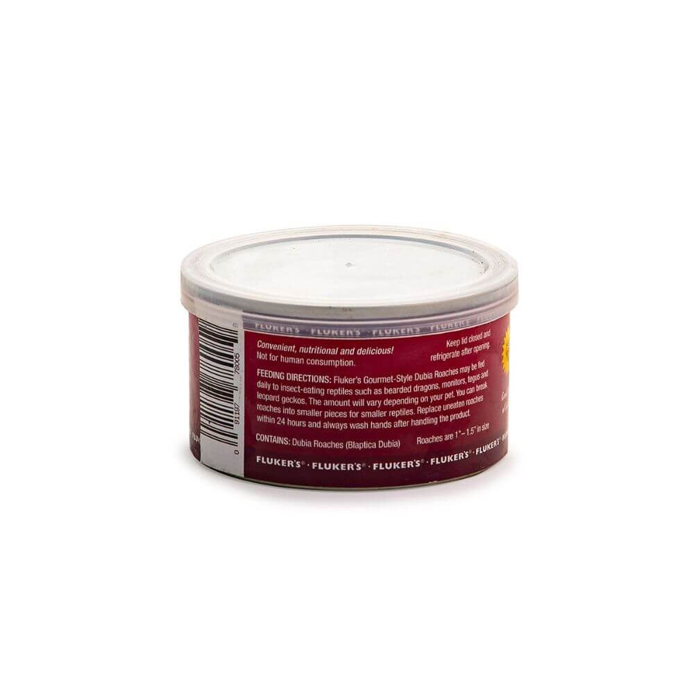 Gourmet Dubia Roaches | Premium Reptile Feeder