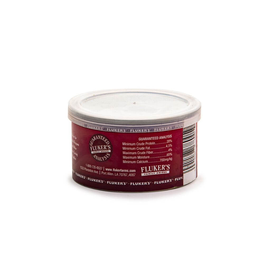 Gourmet Dubia Roaches | Premium Reptile Feeder