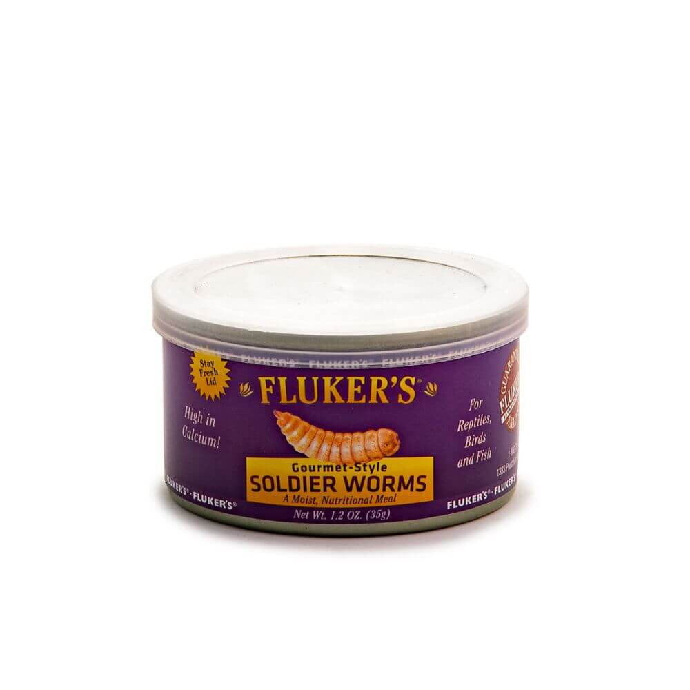 Gourmet Soldier Worms | Premium Calcium-Rich Feeder