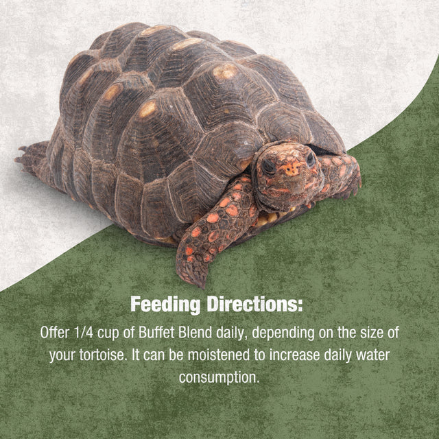 Tortoise Buffet Diet 191gm | Complete Tortoise Food