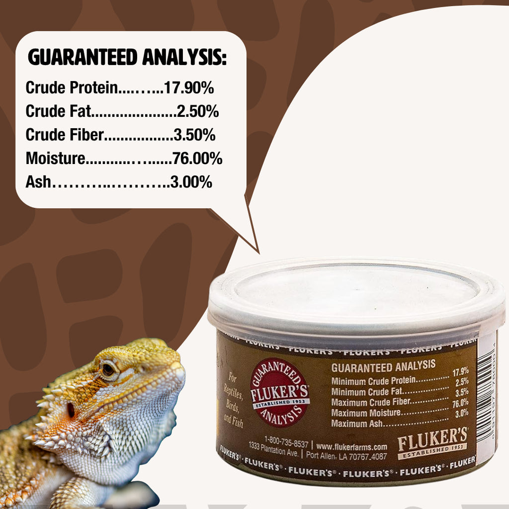 Gourmet Grasshopper | Premium Reptile Feeder