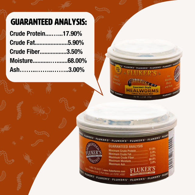 Gourmet Mealworms | Premium Reptile Feeder
