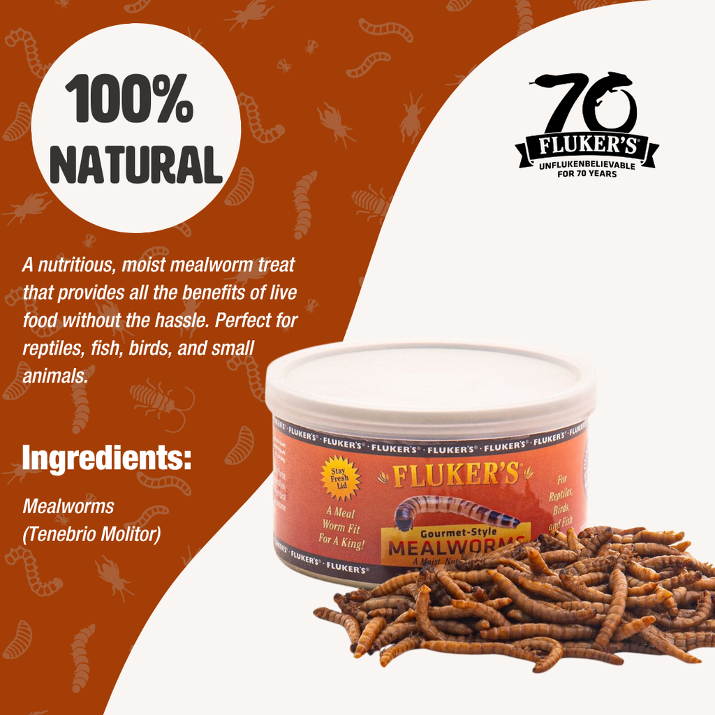 Gourmet Mealworms | Premium Reptile Feeder