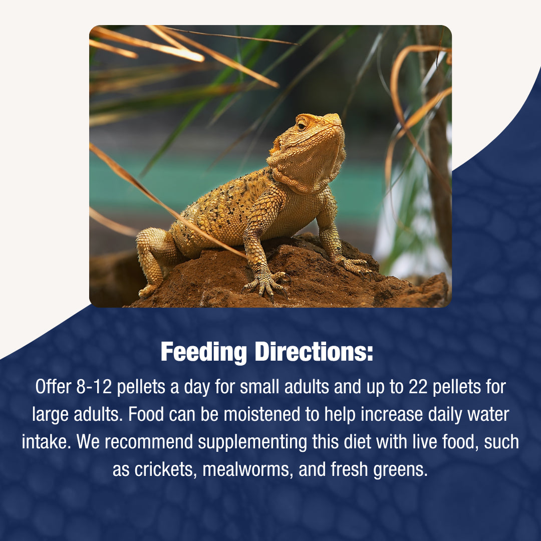 Bearded Dragon Juvenile Diet 156gm | Growth Pellet Food