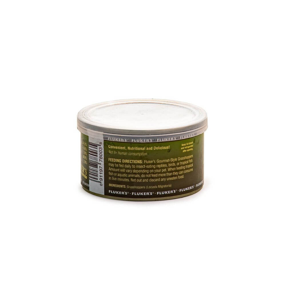 Gourmet Grasshopper | Premium Reptile Feeder
