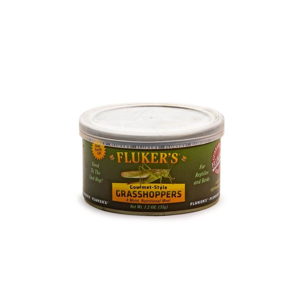 Gourmet Grasshopper | Premium Reptile Feeder
