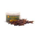Gourmet Grasshopper | Premium Reptile Feeder