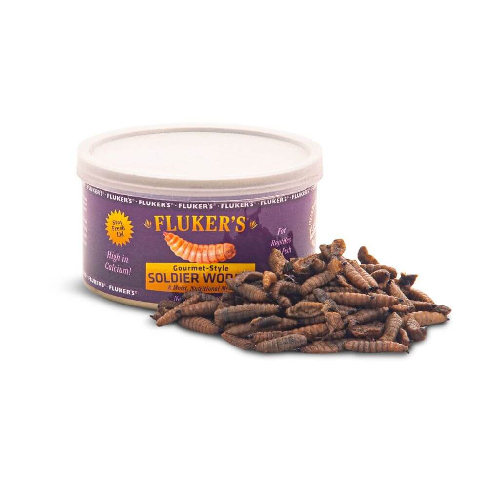 Gourmet Soldier Worms | Premium Calcium-Rich Feeder