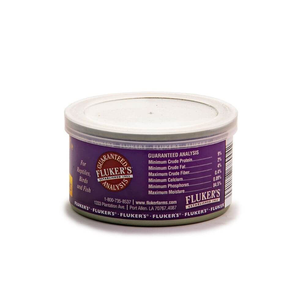 Gourmet Soldier Worms | Premium Calcium-Rich Feeder