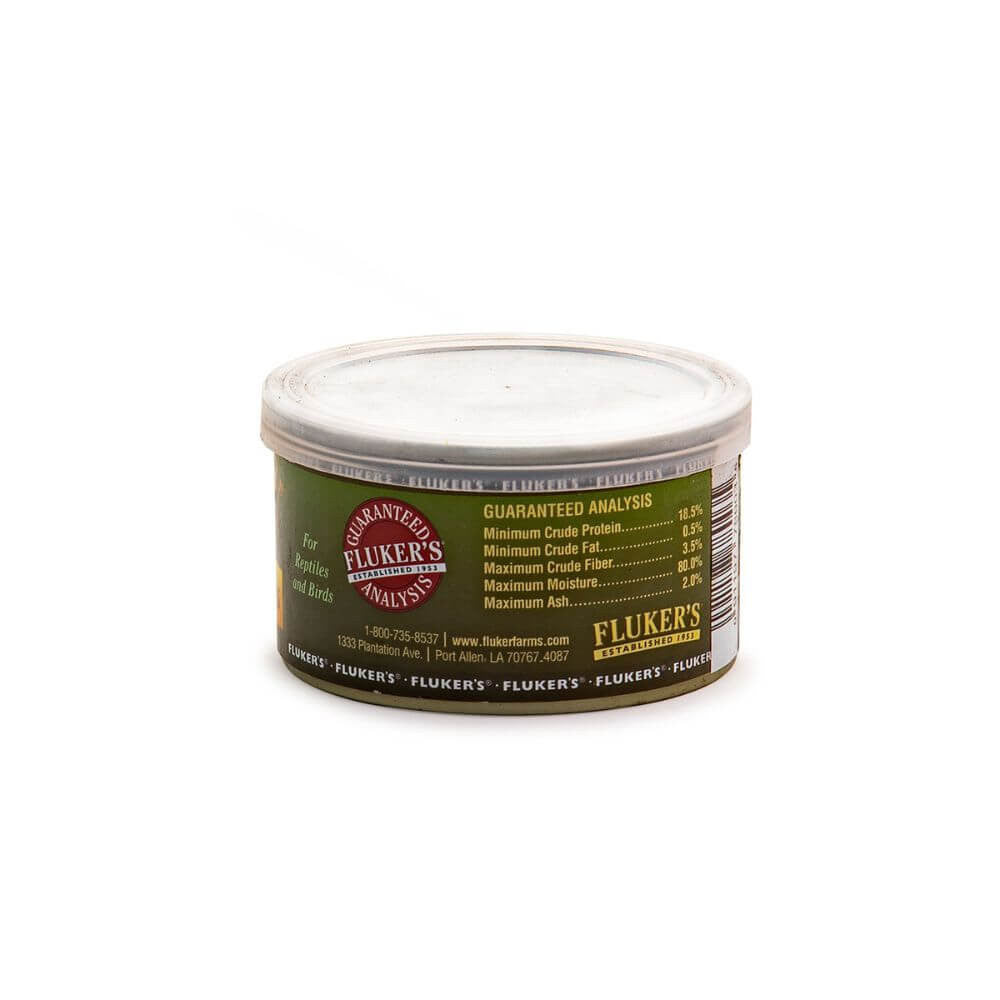 Gourmet Grasshopper | Premium Reptile Feeder
